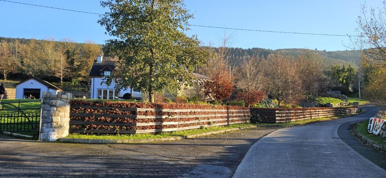 Rostrevor Valley House -Mountainside Hot Tub View ニューリー エクステリア 写真
